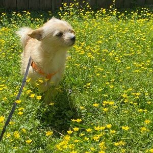 Meet your Posher, Crystal